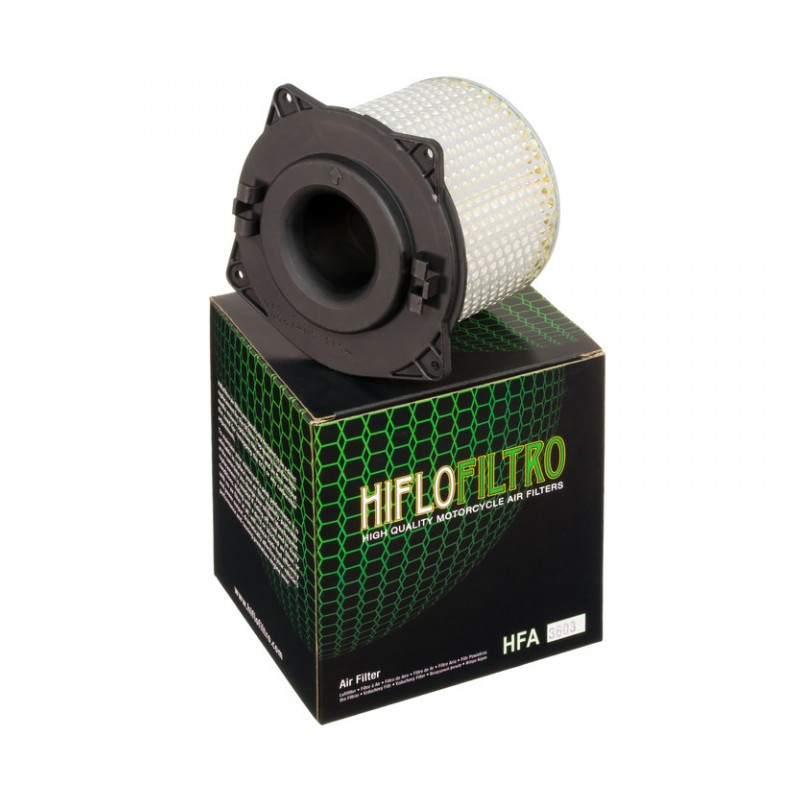 Air filter HIFLOFILTRO HFA3603 - HIFLOFILTRO - MLM Motors