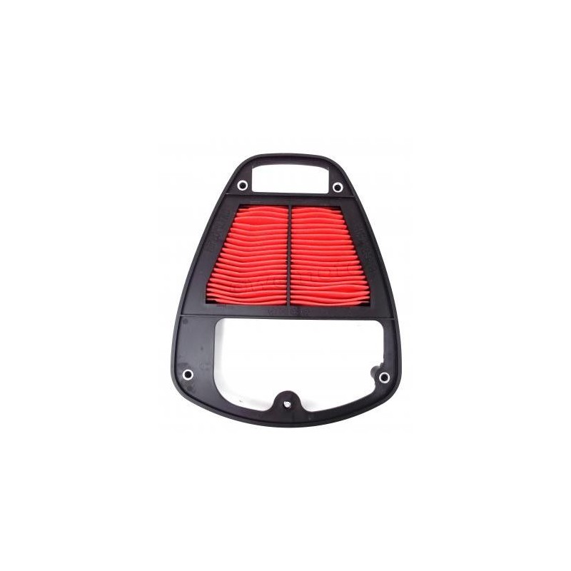 Filtru aer HIFLOFILTRO HFA2919 - HIFLOFILTRO - MLM Motors