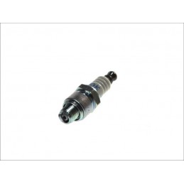 NGK - bujie Iridium DCPR8EIX - NGK - MLM Motors