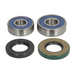 Kit rulmenti roata spate Suzuki LT-A/LT-F AB25-1293 - 4RIDE - MLM Motors