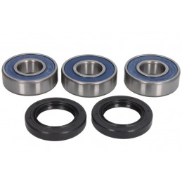 Kit rulmenti roata spate Suzuki LT-A/LT-F AB25-1293 - 4RIDE - MLM Motors