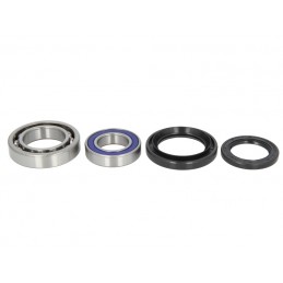 Kit rulmenti roata spate Suzuki LT-A/LT-F AB25-1293 - 4RIDE - MLM Motors