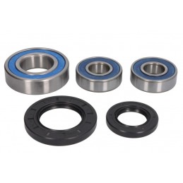 Mansoane negre diametru 22mm,  01626/V - ARIETE - MLM Motors