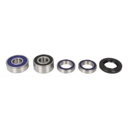 Radiator Polaris Ace / Ranger, RAD-102 - 4RIDE - MLM Motors