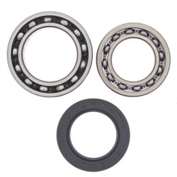 Kit rulmenti roata spate Kawasaki KDX/KX AB25-1346 - 4RIDE - MLM Motors