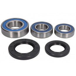 Kit rulmenti roata spate All Balls Yamaha XT/XTZ 25-1248 - ALL BALLS - MLM Motors