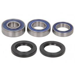 Kit rulmenti roata spate CAN-AM DS, SUZUKI LT-Z 400/450 2003-2015 AB25-1663 - 4RIDE - MLM Motors