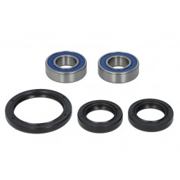 ALL BALLS | MLM Motors