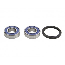 ALL BALLS | MLM Motors