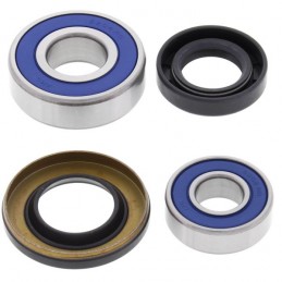 ALL BALLS | MLM Motors
