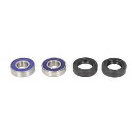 Disc frana fata Honda CB 1100/CBR 1100, MSW258RAC - TRW - MLM Motors