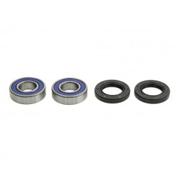 Radiator Polaris Ace / Ranger, RAD-102 - 4RIDE - MLM Motors