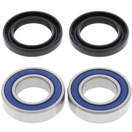 ALL BALLS | MLM Motors