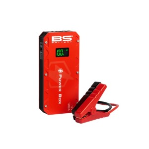 BS BATTERY | MLM Motors