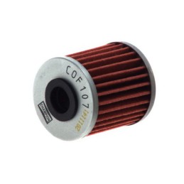 CHAMPION | MLM Motors