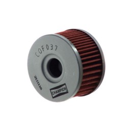 CHAMPION | MLM Motors