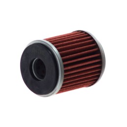 CHAMPION | MLM Motors