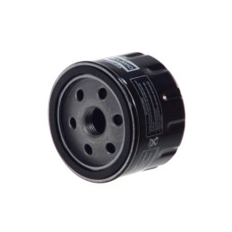 CHAMPION | MLM Motors