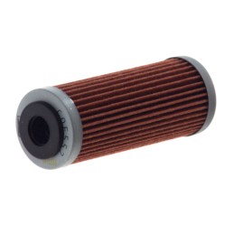 CHAMPION | MLM Motors