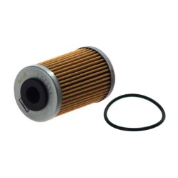 CHAMPION | MLM Motors