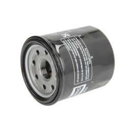 CHAMPION | MLM Motors