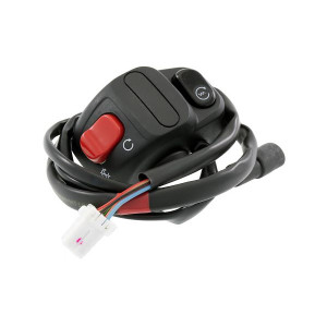 Kill switch EXED EP-PRT-SW-KILL - EXED - MLM Motors