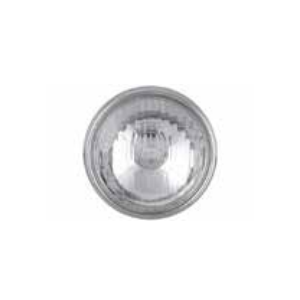Electrice moto | MLM Motors