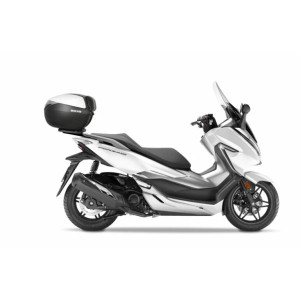 Accesorii moto | MLM Motors