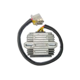 VICMA | MLM Motors