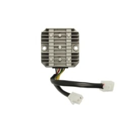RMS | MLM Motors