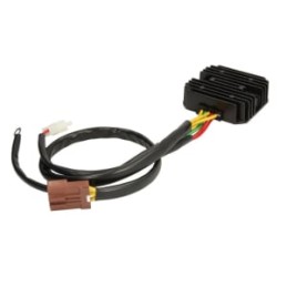 Ulei motor MOTUL 5100 10W30 - 4L - MOTUL - MLM Motors