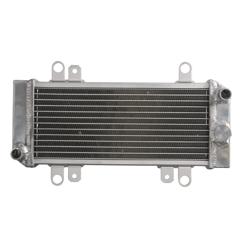 Radiator Kawasaki EX 300 ABS (Ninja) 2013-15 / 300 2013-17, RAD-668 - 4RIDE - MLM Motors
