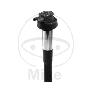 BERU | MLM Motors