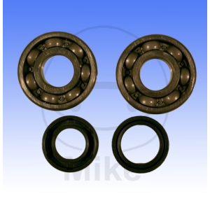 Accesorii moto | MLM Motors