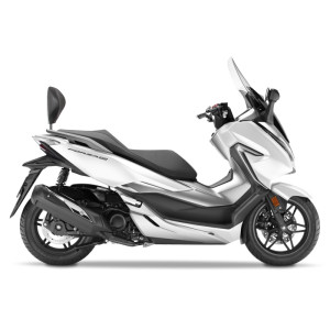 Accesorii moto | MLM Motors