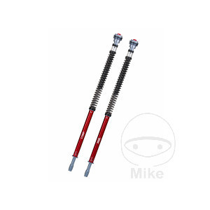 Accesorii moto | MLM Motors
