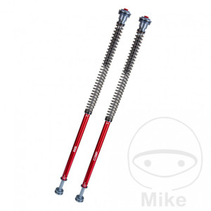 Accesorii moto | MLM Motors