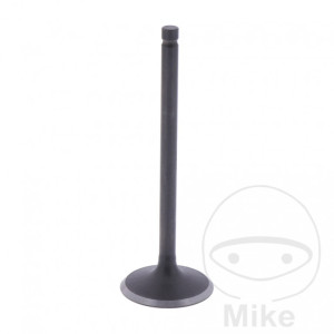 Accesorii moto | MLM Motors