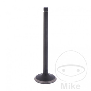 Accesorii moto | MLM Motors
