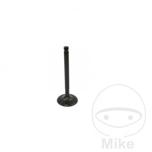 Accesorii moto | MLM Motors