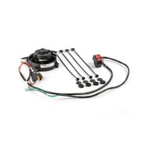SPAL | MLM Motors