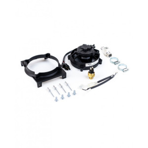 SPAL | MLM Motors