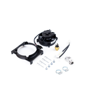 SPAL | MLM Motors