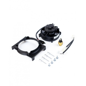SPAL | MLM Motors
