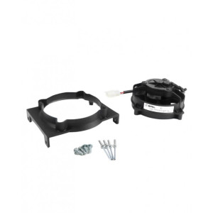 SPAL | MLM Motors