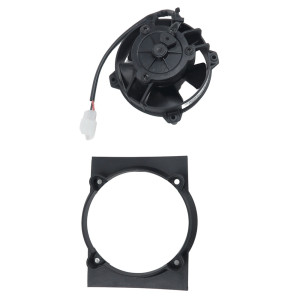 SPAL | MLM Motors
