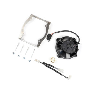 SPAL | MLM Motors