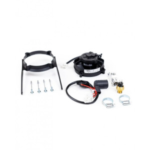 SPAL | MLM Motors