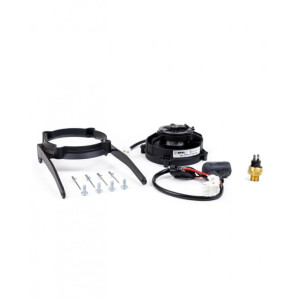 SPAL | MLM Motors