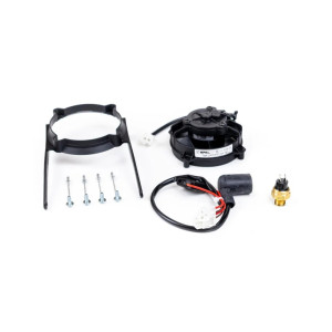 SPAL | MLM Motors